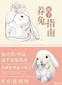 新手养兔子需要准备什么