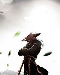 天龙九黎