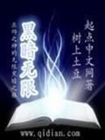 黑暗无限闪耀赛罗