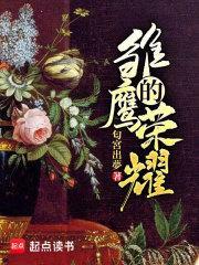 雏鹰的荣耀正版TXT