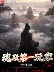 全民游戏我拿异火玩超载TXT