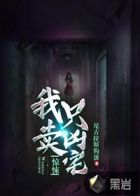 惊悚我只卖凶宅百科