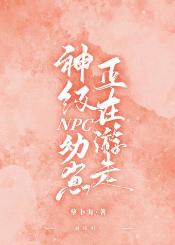 禁止某玩家接触副本NP