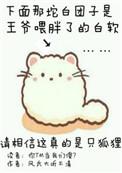 你尾巴戳到我了攻洁吗