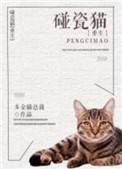 巨胃猫总是在碰瓷番外