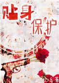 贴身保护文森特简介