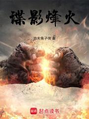 谍影风云简介