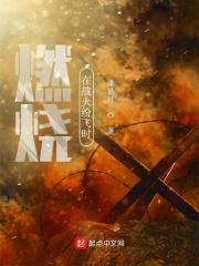 战火在燃烧歌词
