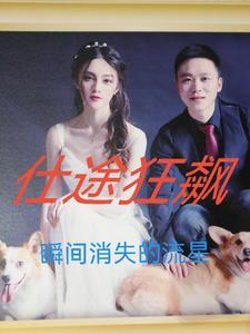 一部叫什么仕途的