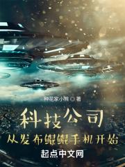 鲲鹏信息科技有限公司