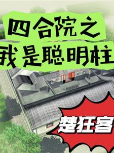四合院之我是聪明柱 作者楚狂客