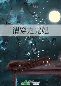 清穿之宠妃侧福晋全文免费阅读无弹窗