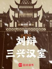 三兴汉室百度