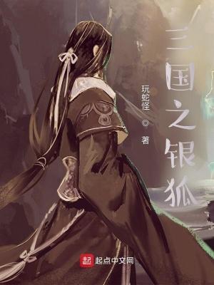 三国之银狐TXT 百度