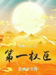 第一权臣夏景昀免费阅读TXT