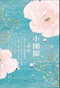 小团圆中描写男女之事的句子