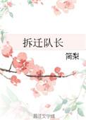 拆迁队长是什么意思