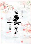 宠妻为后讲的什么