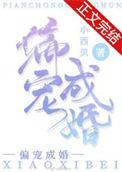 偏宠成婚简介