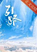 引路星的