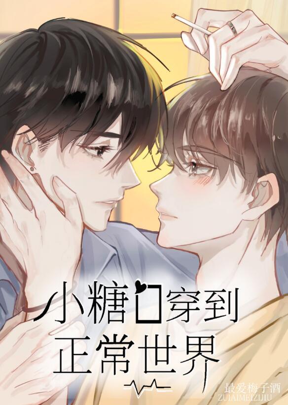 小糖o穿到正常世界讲的什么