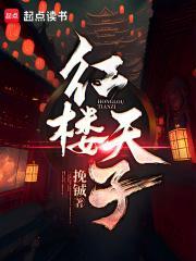 红楼之天命皇子