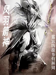 箭羽风息多少钱