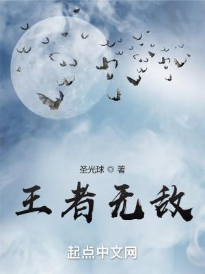 无敌王者什么样