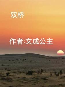 双桥站