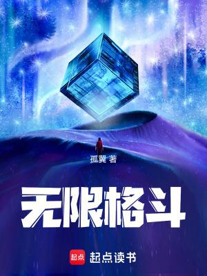 无限格斗术陈鹤皋