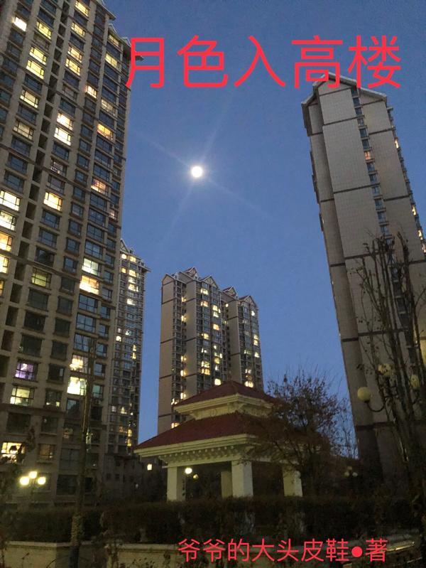 月色入高楼打正确一肖