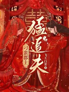 刁蛮郡主假痴郎