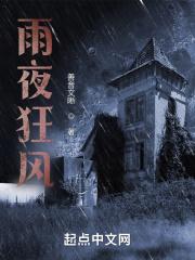 雨夜狂风原唱完整版
