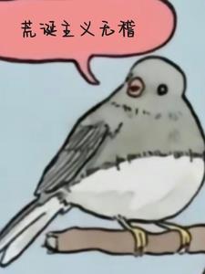荒诞主义的书