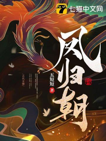 凤归朝梦溪石好看吗