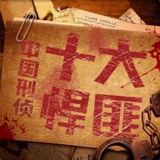 中国十大刑侦大案