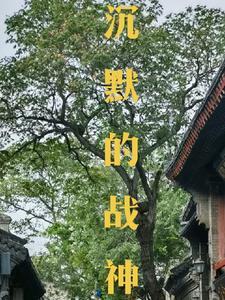 沉默的战争难守的婚姻