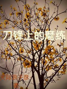 刀锋上的救