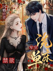 军旅闪婚