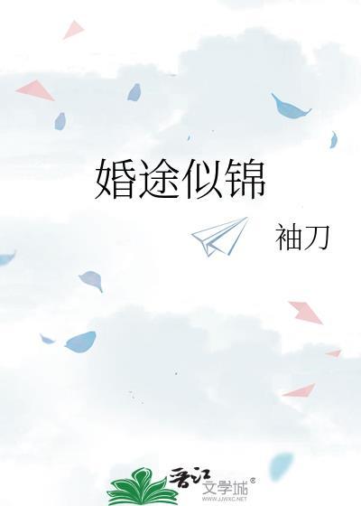 婚途似锦免费阅读