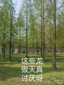 有哪些龙傲天的番
