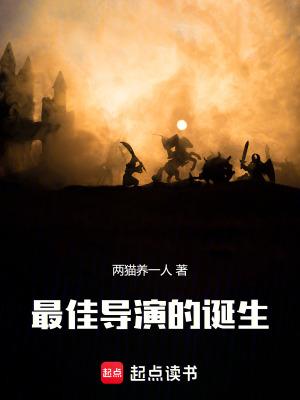 最佳导演的诞生手打版