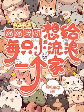 我给你一只猫