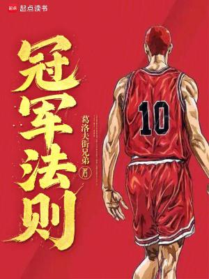 冠军法则无错版