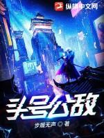 头号公敌意思