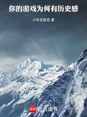 你的游戏为何有历史感TXT