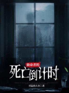 偷命无防盗