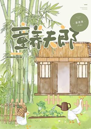 裴家夫郎by茶查查笔趣阁