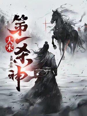 大宋第一杀神完整版