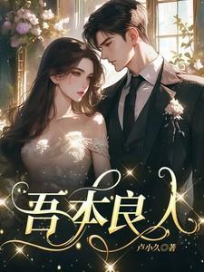 我本良人下一句是什么